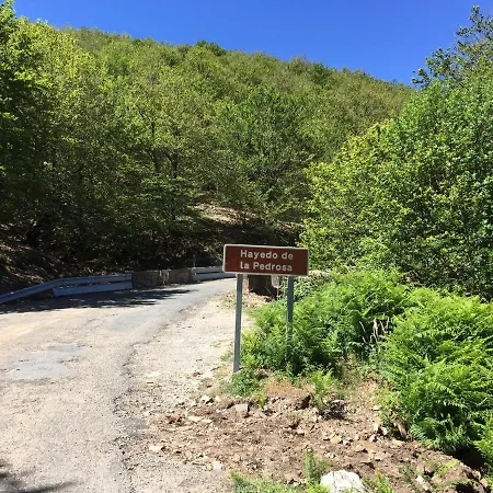 Ecológico Con Piscina Climatizada Y Sauna!! Apartamento *